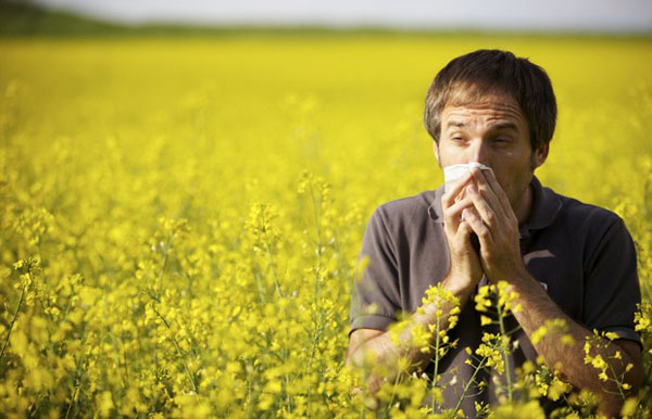 Lower the Costs Associated with Fighting Your Allergies