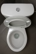 1006471_toilet