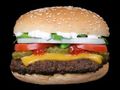 1119511_burger