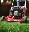 Lawn